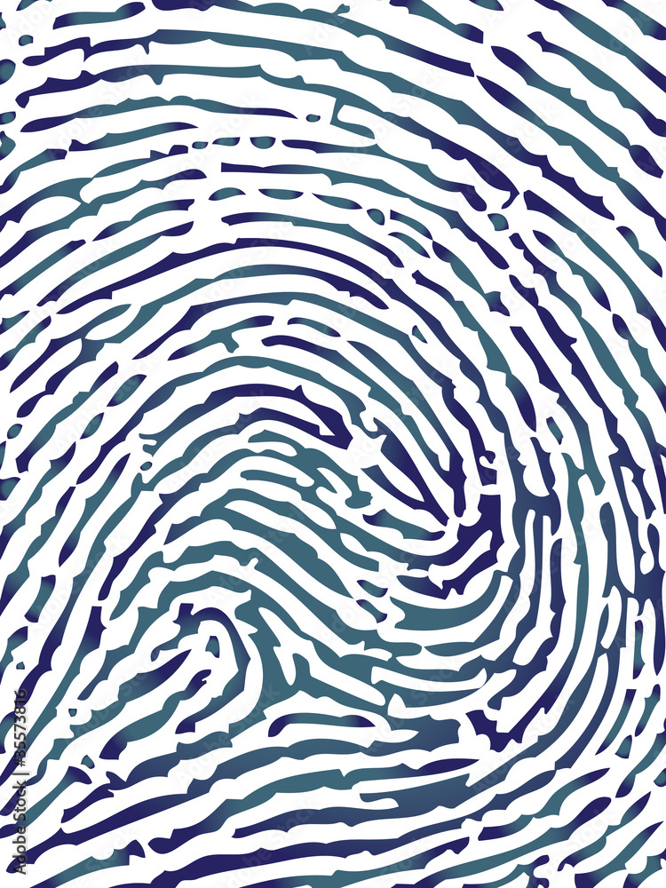 Fingerprint close-up vector Fingerprint close-up vector