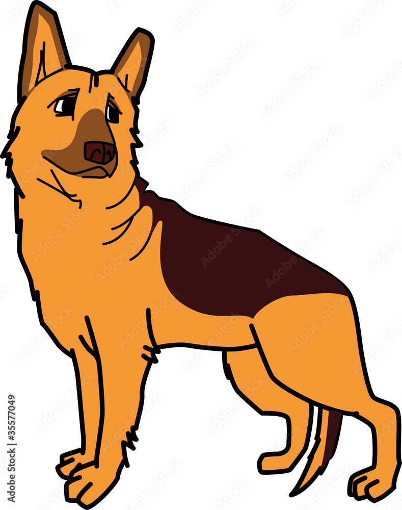 シェパード German Shepherd Dog