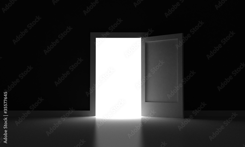 Fototapeta premium The door
