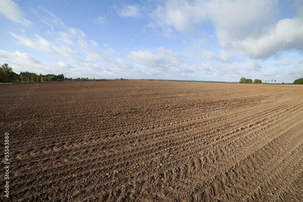 Cultivated field.