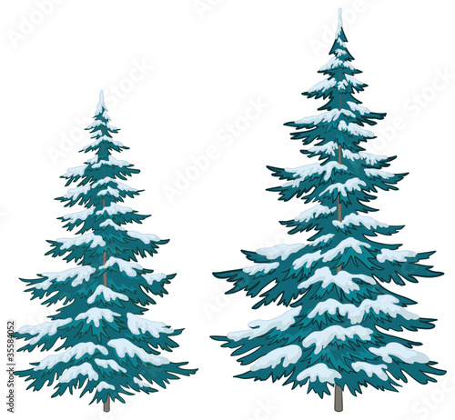 Christmas trees under snow