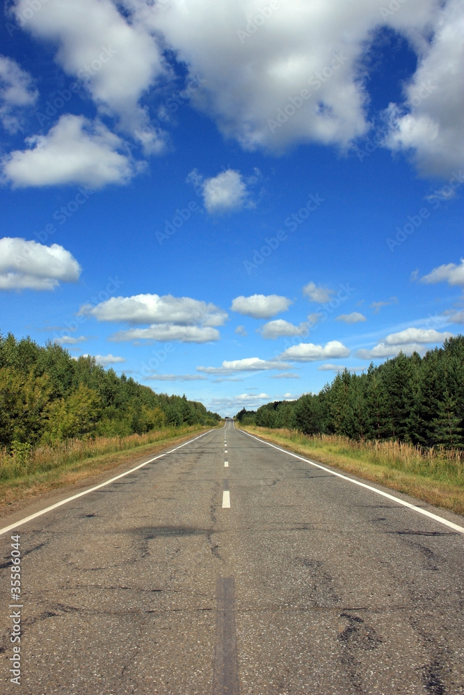 Пустынное шоссе через лес под облачным небом