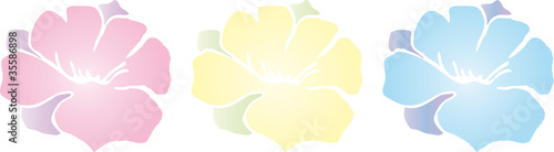 Blumenstrauss