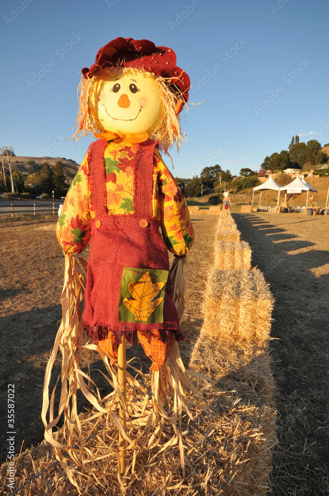 Scarecrow on a pole in bail of hay