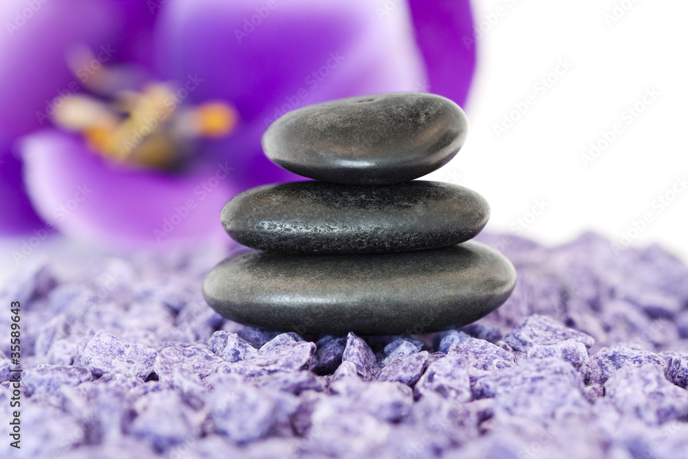 piedras con flor violeta piedras con flor violeta
