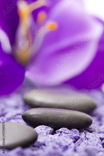Canvas Print piedras con flor violeta