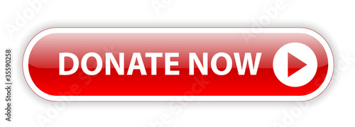 "DONATE NOW" Web Button (charity donation money give contribute)