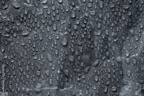 Wallpaper Mural Water drops on plastic Torontodigital.ca