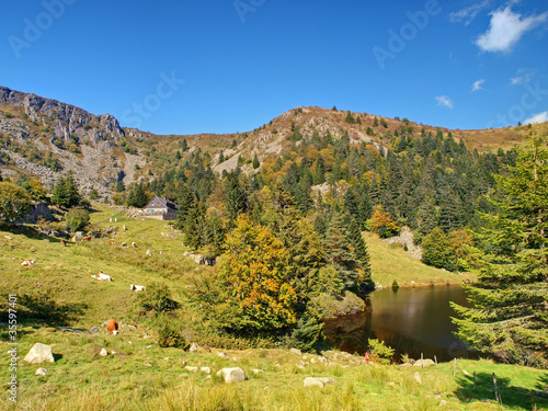 LE CIRQUE DU FORLET photo