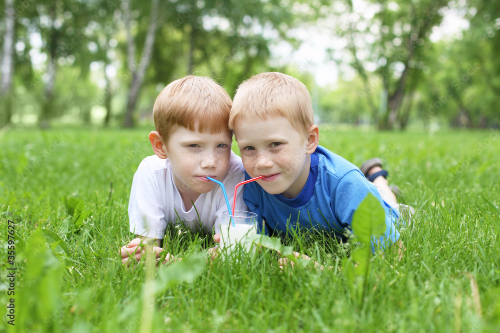 Portrait of two boys in the summer outdoors