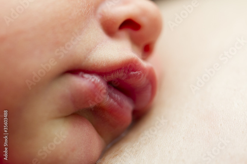 nurling laying at brest after sucking milk