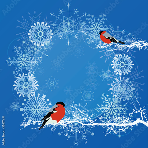 New Year frame with bullfinches