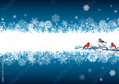 New Year greeting card with bullfinches