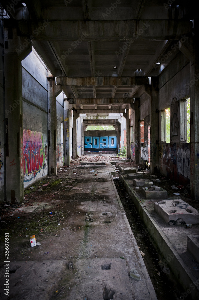 Dead building`s tunnel with graffiti