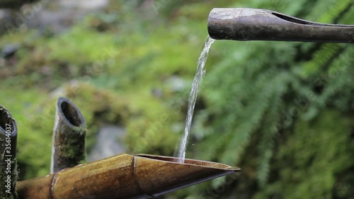 Zen garden