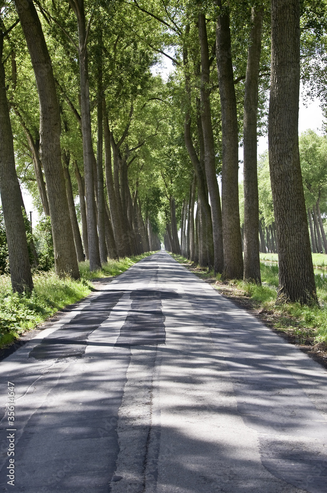 Avenue, Belgium Avenue, Belgium