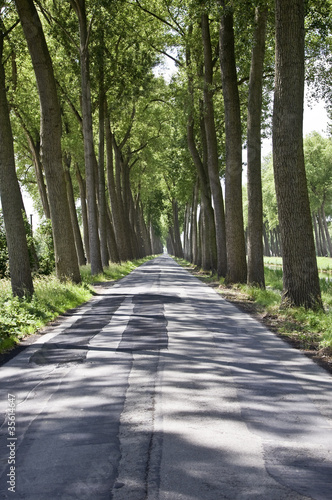 Avenue, Belgium