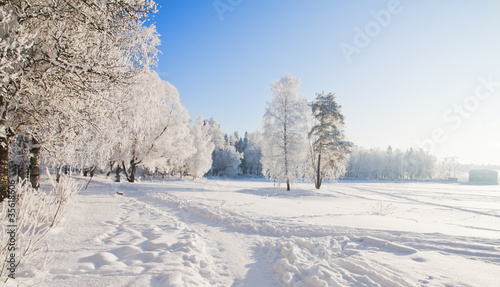 Winter park in snow