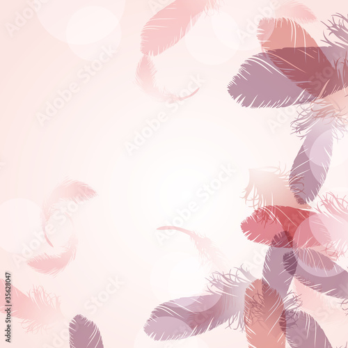 feather background