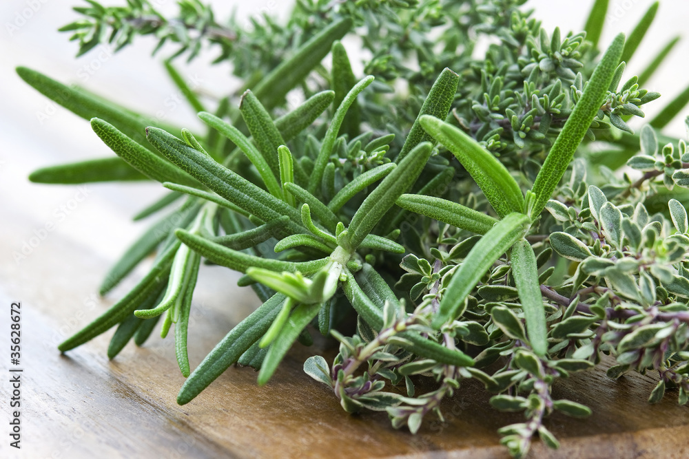 thyme and rosemary - fresh garden herbs thyme and rosemary - fresh garden herbs