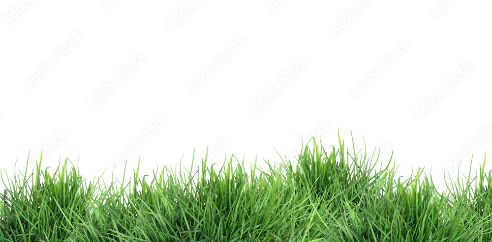 Green Grass On White Green Grass On White