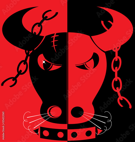 red-black background angry bull