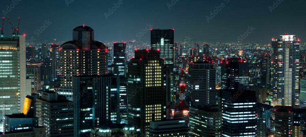 Fototapeta premium Osaka Skyline at night