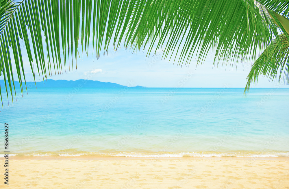 Beautiful beach with palm tree