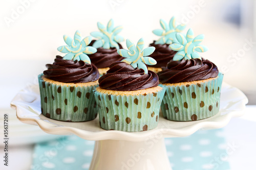 Chocolate cupcakes photo