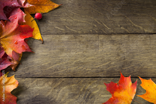 Obraz na plátně yellow  autumn leaves on background old wood