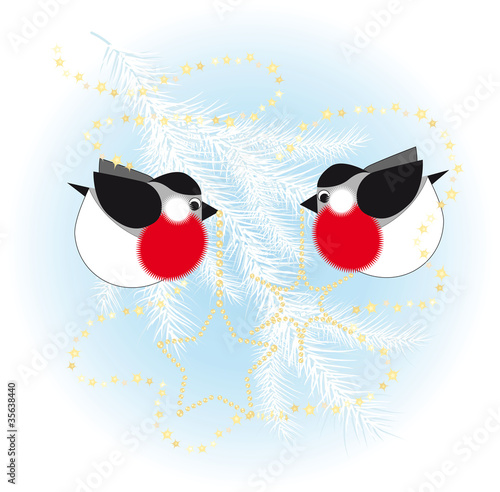 Bullfinch dress up a Christmas tree