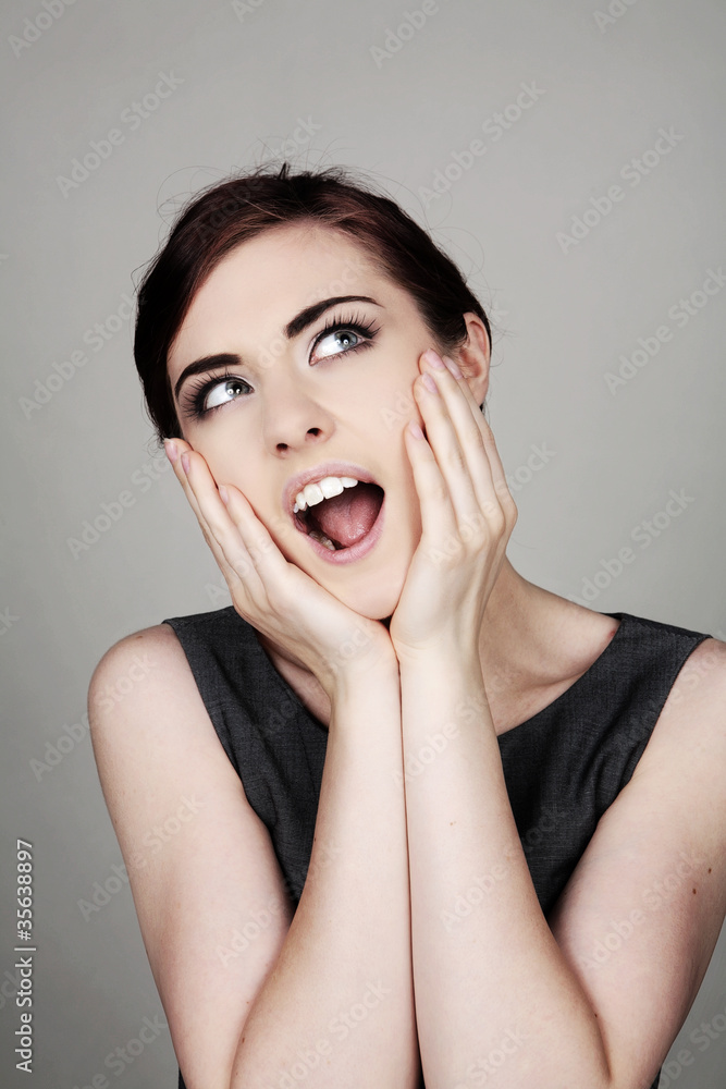 the scream the scream