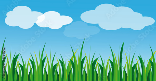 vector green grass and blue sky