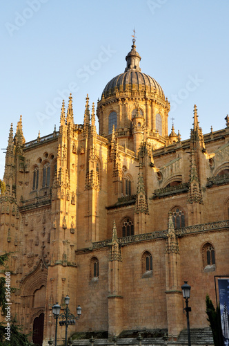 cathédrale de Salamanque