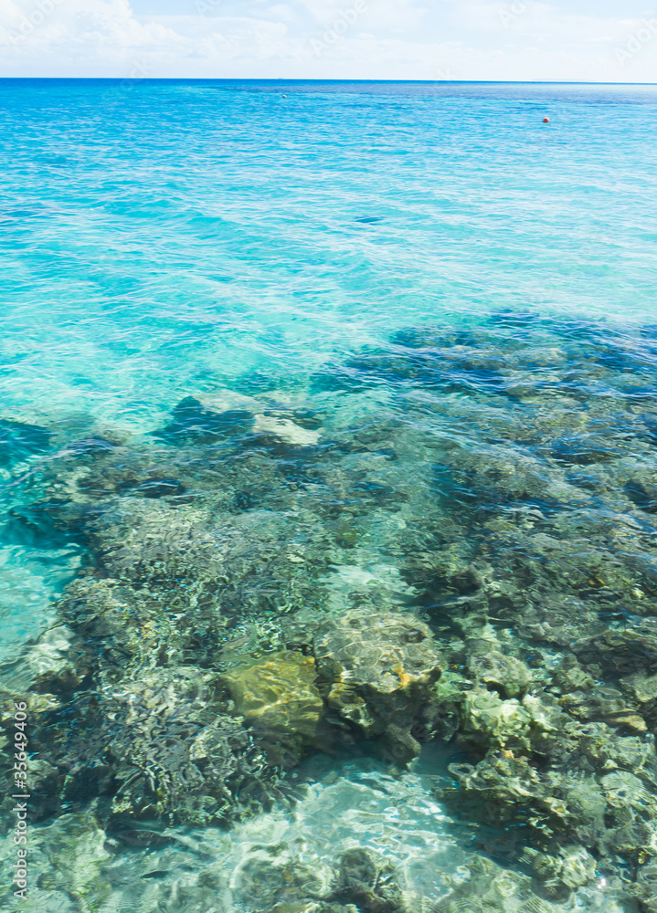 Fototapeta premium Skies Above And Waters Below
