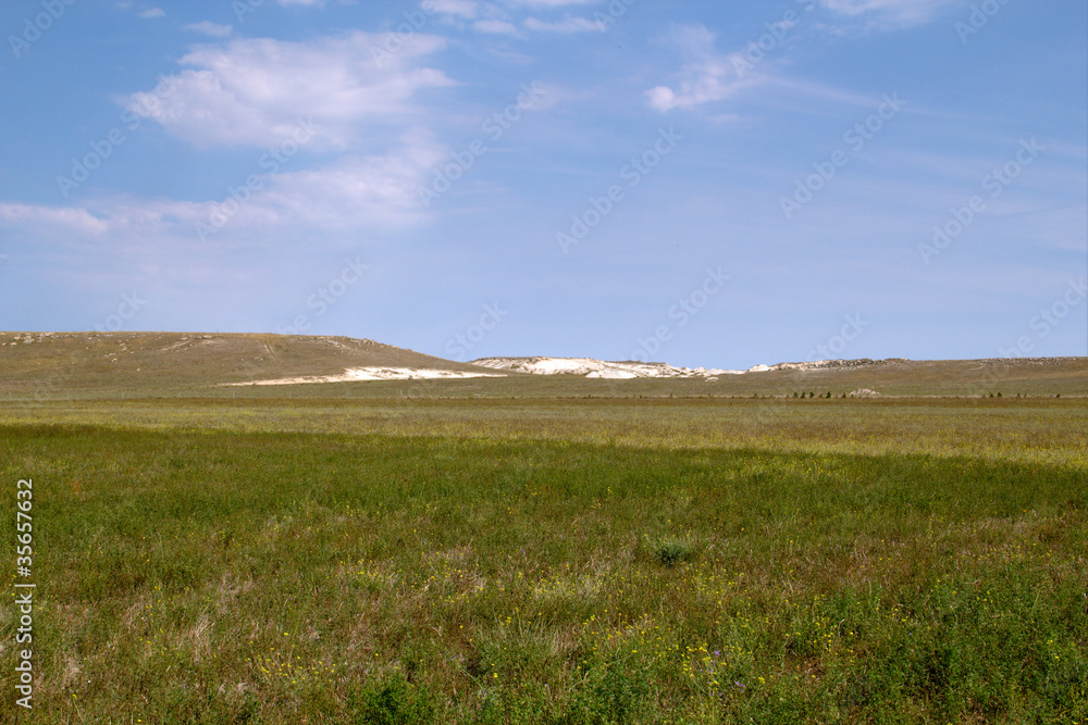 Steppe in the summer in the Crimea