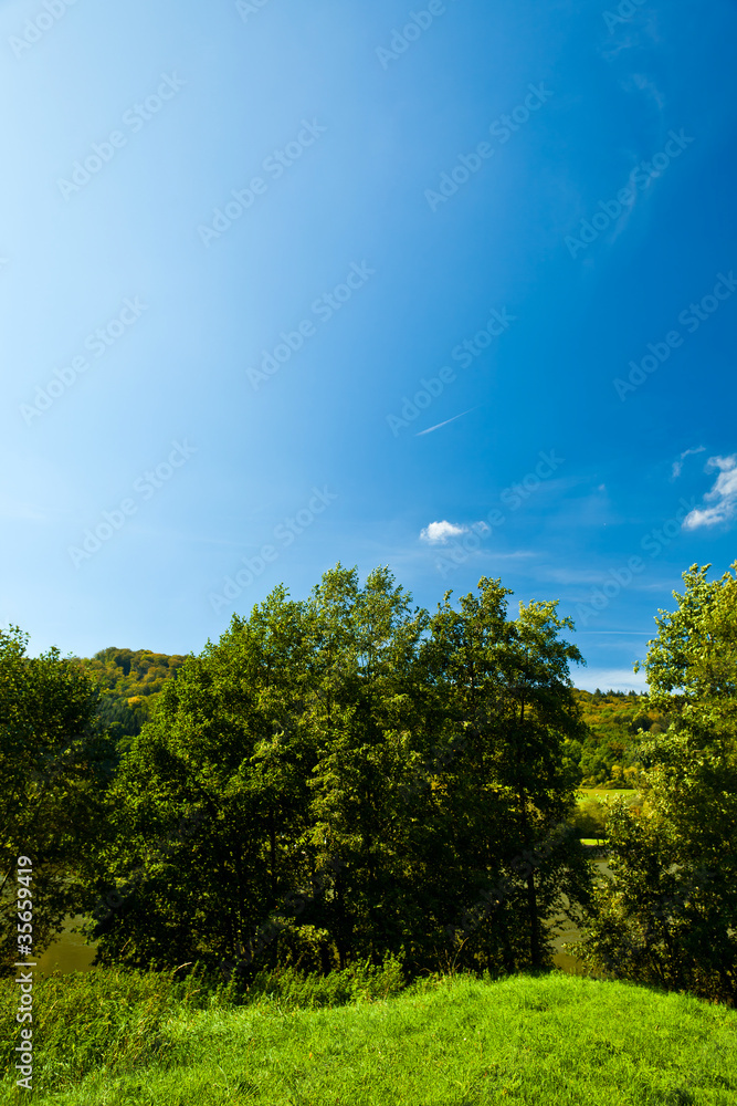 Fototapeta premium Wonderful Days