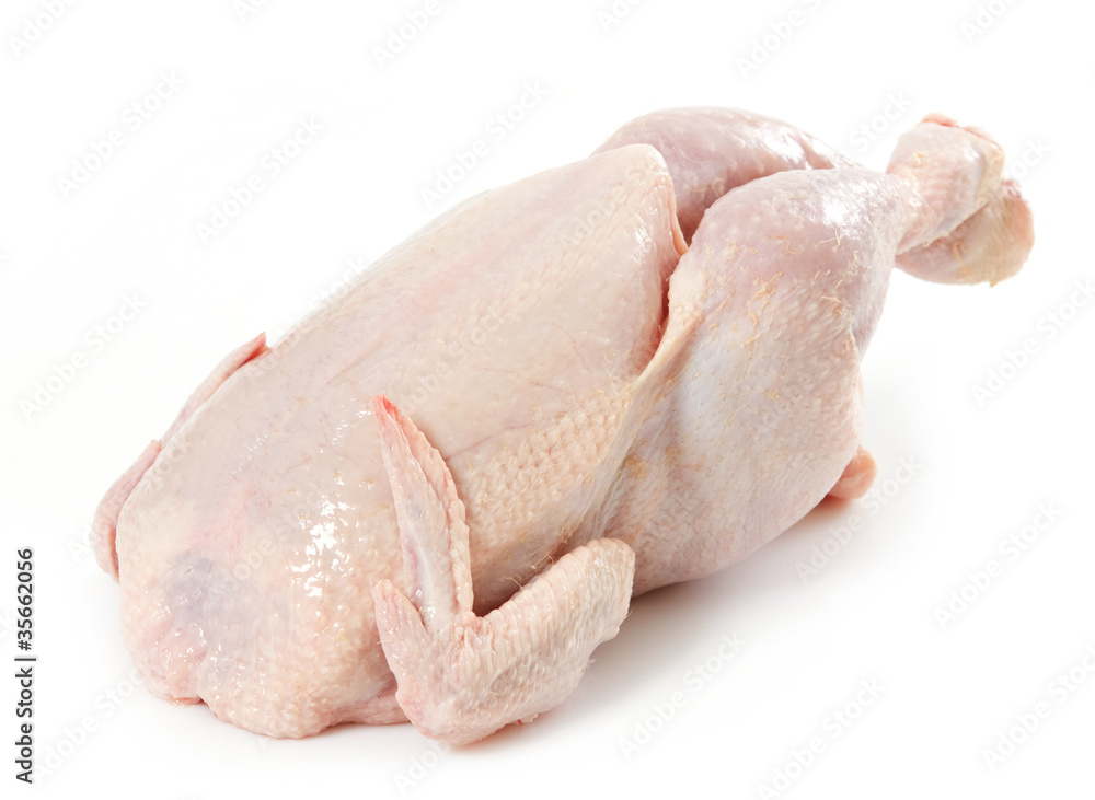 fresh raw chicken