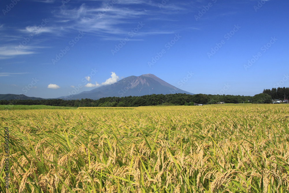 Naklejka premium 岩手山と田園風景