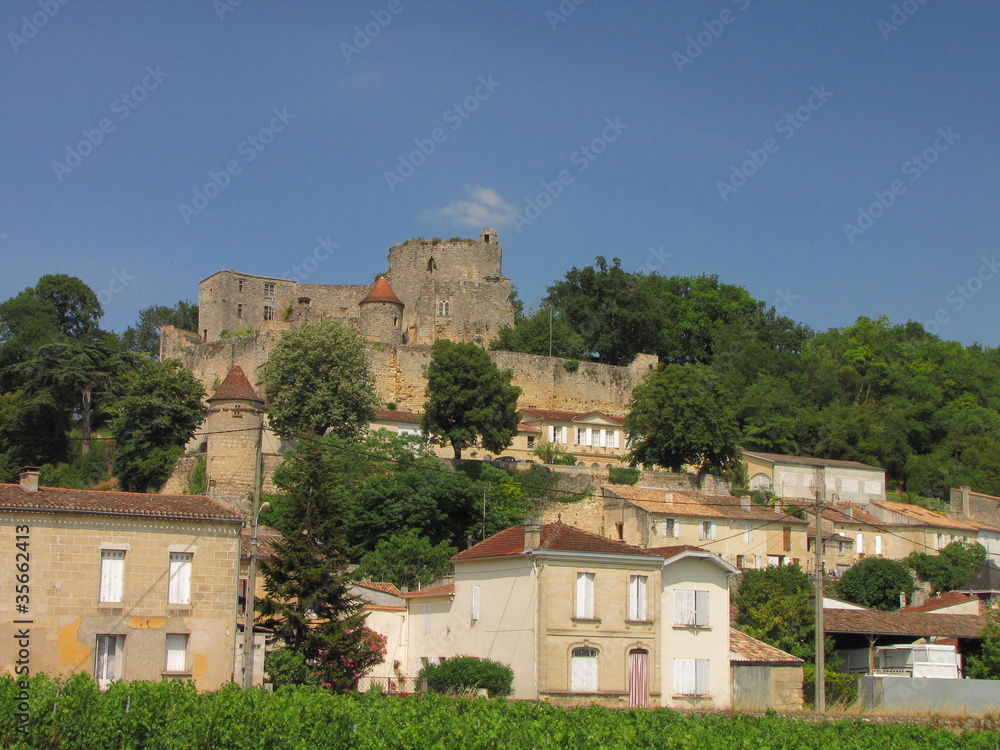 Château de Langoiran ; Gironde ; Aquitaine