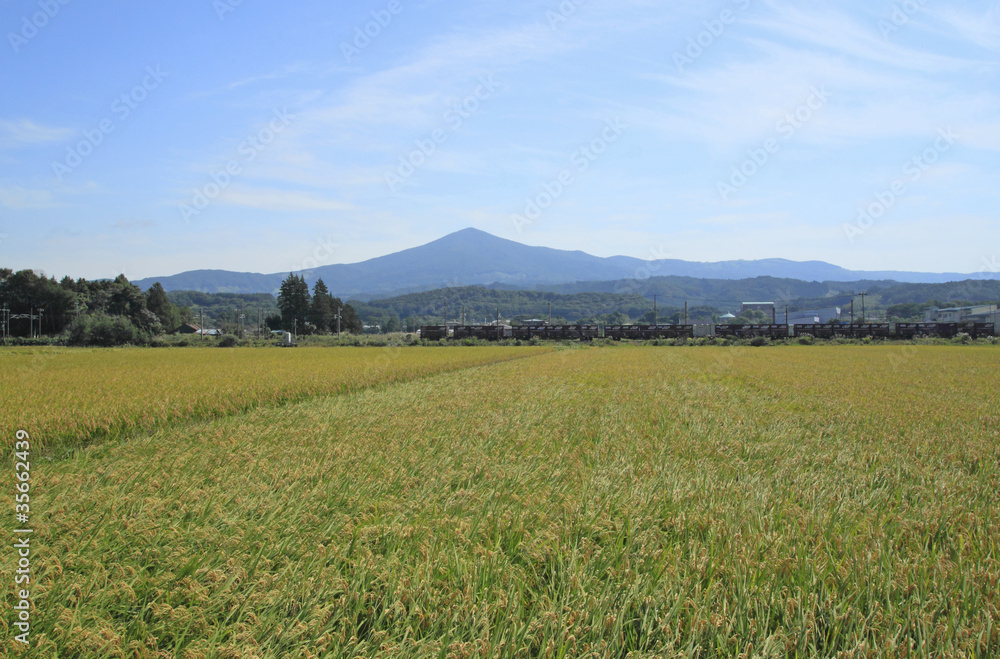 姫神山と田園風景 姫神山と田園風景
