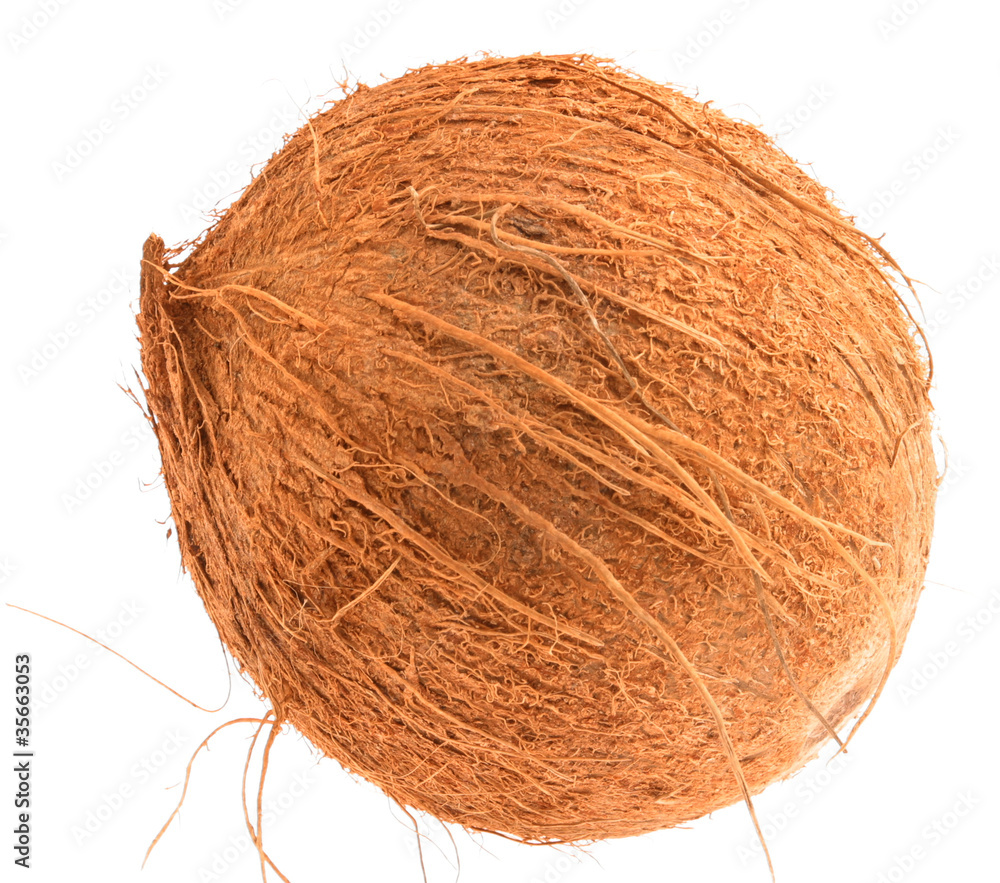 A coconut on a plain white background. A coconut on a plain white background.