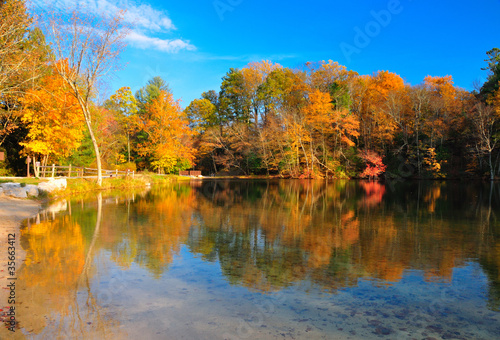 Fototapeta Naklejka Na Ścianę i Meble -  Peak Fall Foliage at a lake