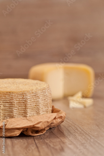 Fototapeta Naklejka Na Ścianę i Meble -  Pecorino Cheese