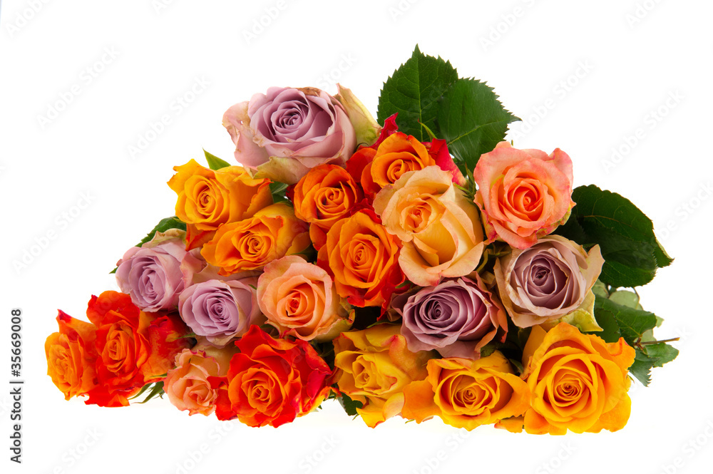 Obraz premium Bouquet roses in various colors