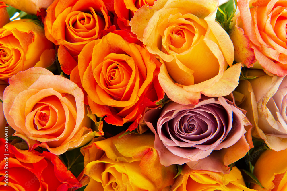 Bouquet roses in various colors Bouquet roses in various colors