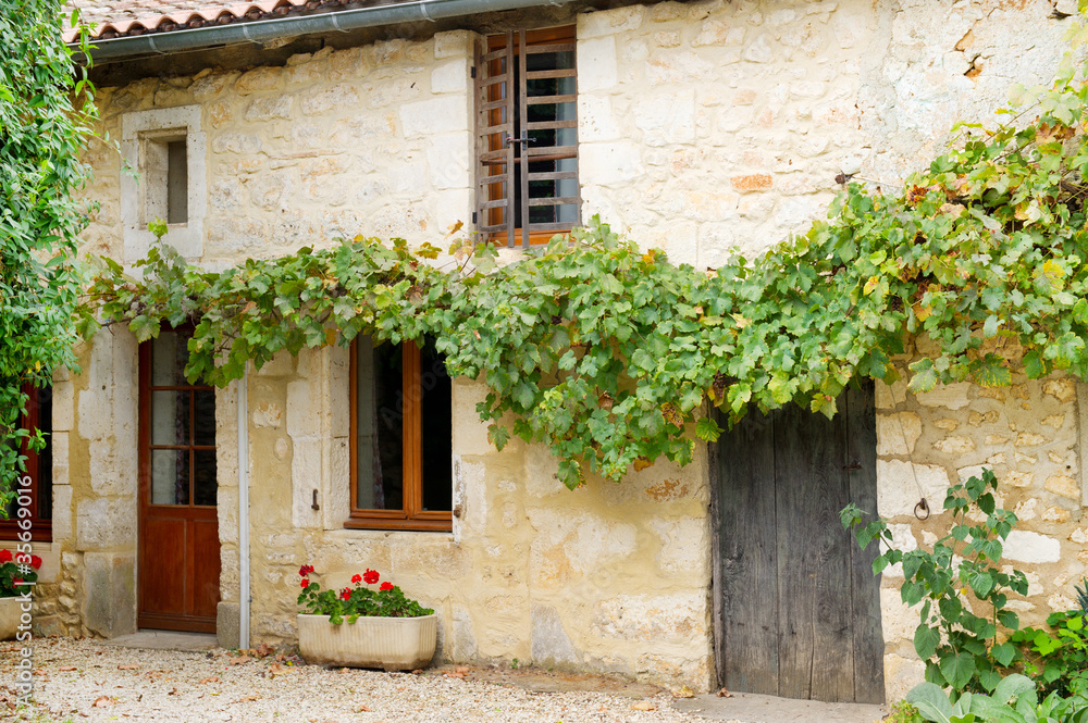 Romantic French house Romantic French house