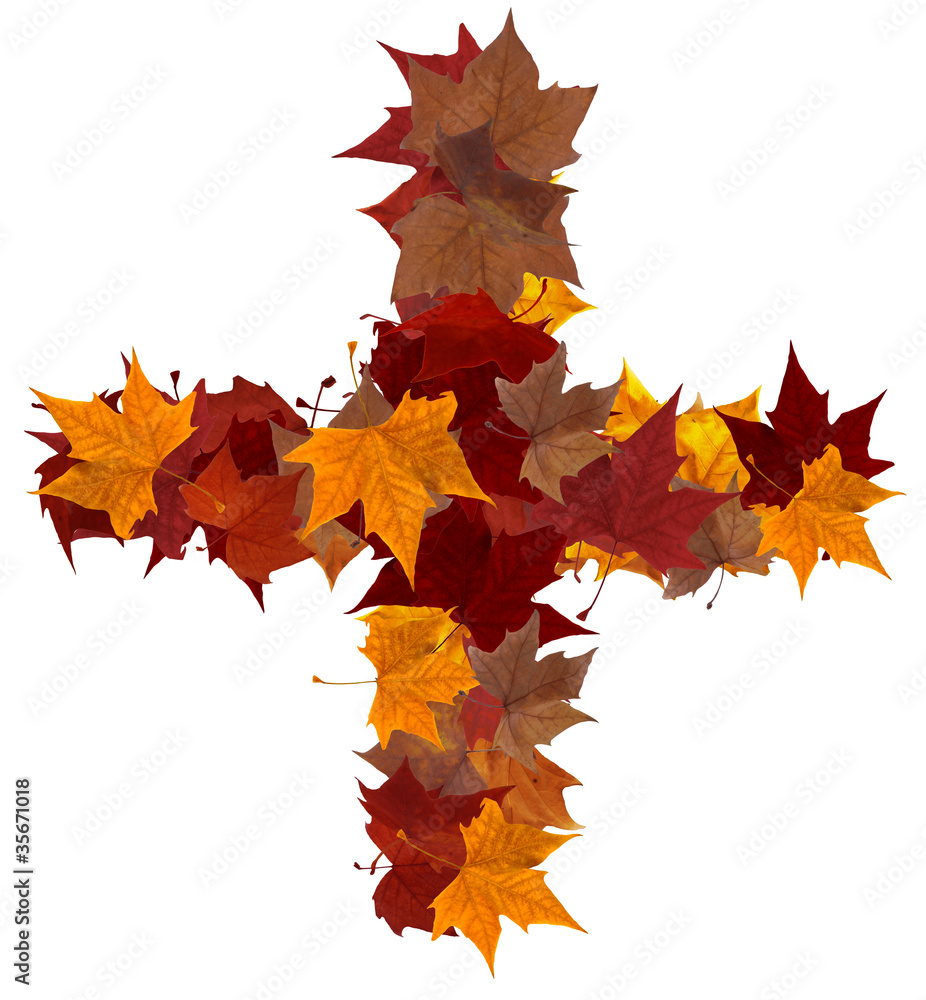 Obraz premium Plus symbol multicolored fall leaf composition isolated