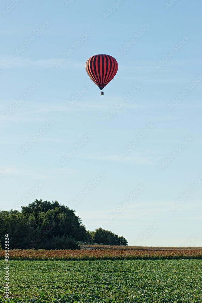 Naklejka premium Montgolfiere #52