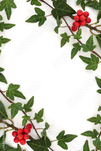 Holly and Ivy Abstract Frame